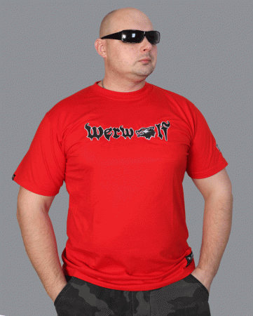 Tričko Krátky rukáv WS T022